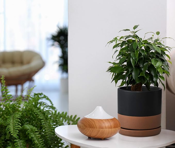 D'vine Dev Set of 2 Plants Pots, 8 Inch Ceramic Planter Pot for Plants with Drainage Hole and Saucer, Black/Speckled Tan, 94-V-D-7