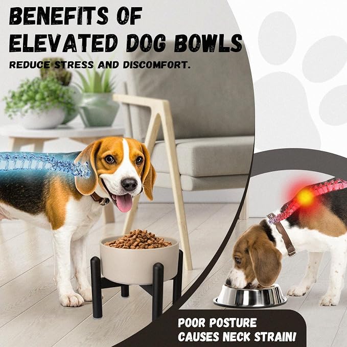 Raised Ceramic Dog Bowl Set with Stand, 2 Cups Elevated Dog Food Stand | 6.1'' Single Dog Food or Water Bowl Set, Non-Slip Dog Feeding Dishes for Small to Medium Breeds, 28.75 OZ, White