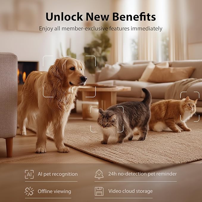 IMIPAW Automatic Cat Feeder