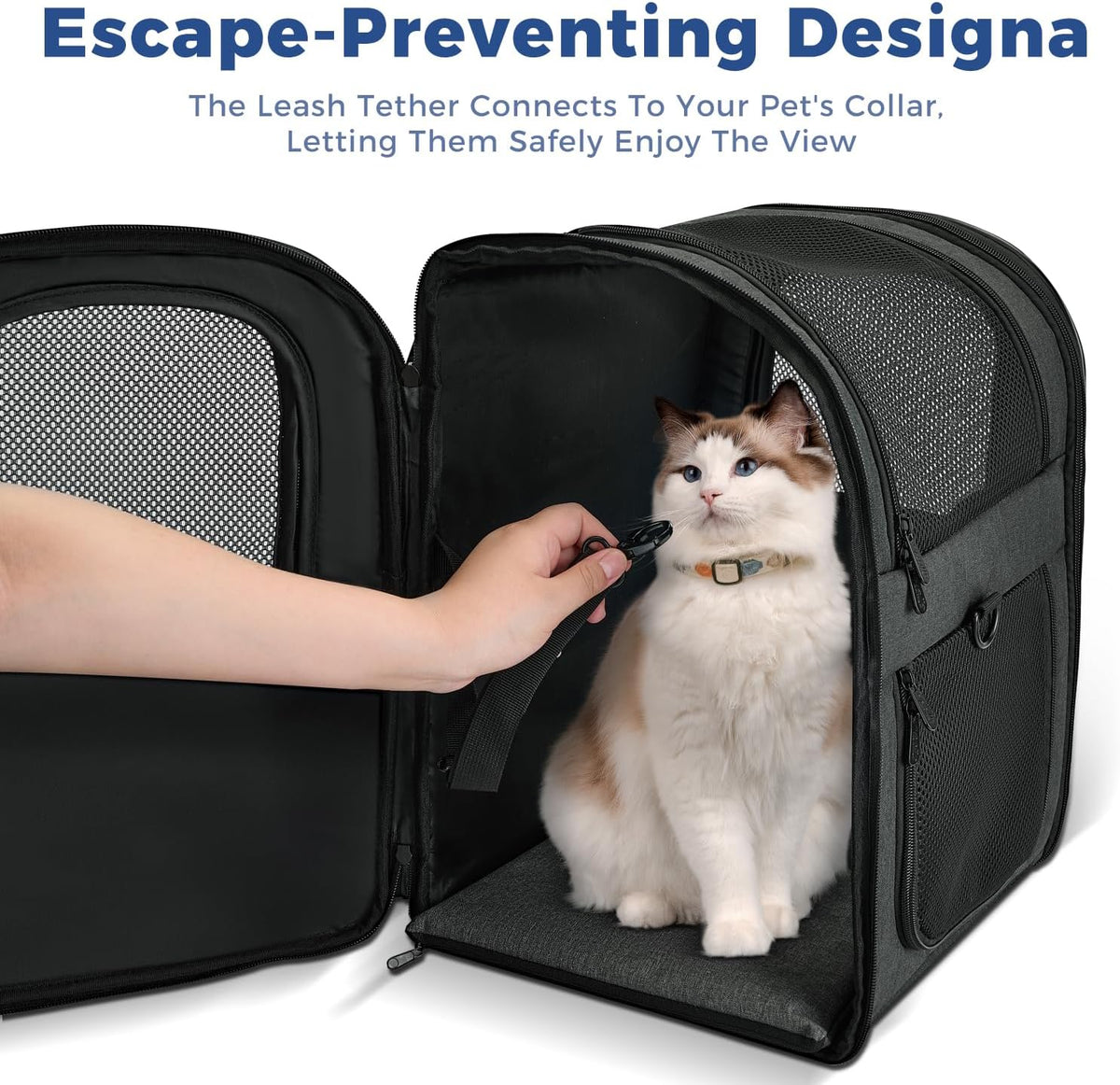Apollo Walker Dog & Cat Carrier Backpack for 4-15lb Pets - Ventilated Safe Design with Padded Back Support, Breathable Mesh Pet Backpack for Hiking, Travel, Outdoor (Black)