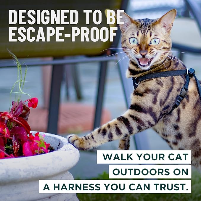 Houdini™ Escape Proof Cat Harness and Leash (Pink, M/L) | Adjustable walking vest with 6ft lead, breathable mesh, secure snug fit, lightweight for travel, hikes and daily adventures