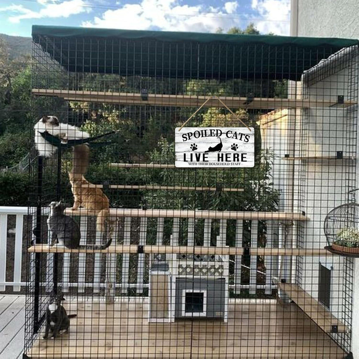 Cat Wall Decor For Cat Lovers Hanging Wood Cat Home Decor Fall Cat Wooden Sign Cat Christmas Decor Spoiled Cats And Their Staff Live Here Sign Cats Only Signs Cat Welcome People Tolerated Sign 12x6 In