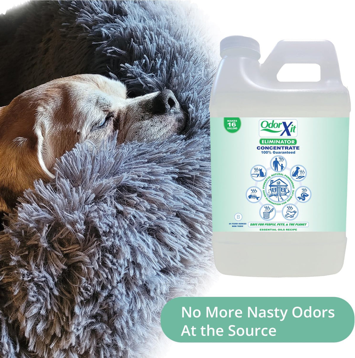 Concentrated Pet Urine Odor Eliminator, Ideal for Cat, Dog Poo and Urine Smell, Versatile & Natural Odor Neutralizer for Home and Outdoor Use, Deodorizer & Absorber, Concentrate, 64oz
