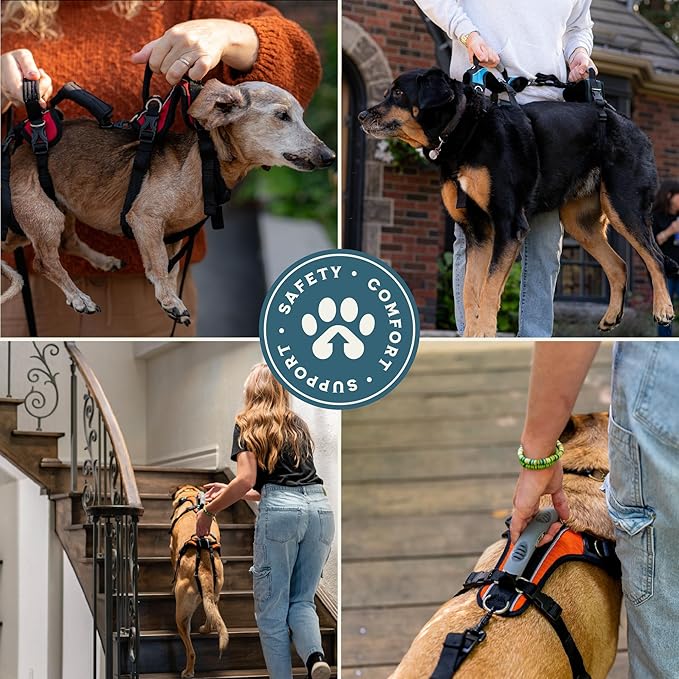 Help 'Em Up® Dog Lift Harness, Full Body Support, XL, U-Band (125-225 lbs)