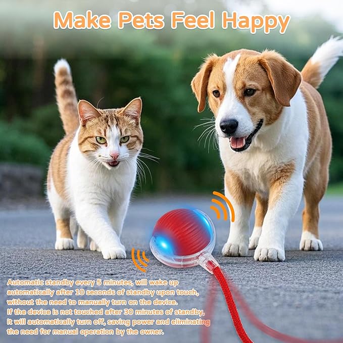 2025 New 3Pack Cat Ball Kitten Toys for Indoor Interactive Kitty Ball Toy Speedy Tail 360° Automatic Rolling(Red Grey Green)