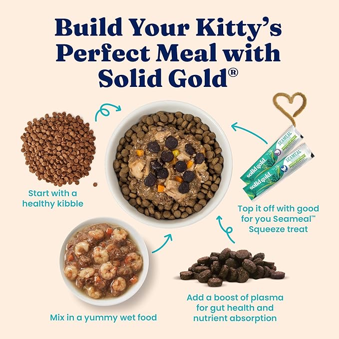 Solid Gold Indoor Dry Cat Food - Grain Free & Gluten Free - Salmon Cat Food Dry Kibble for Indoor Cats w/Probiotics & Fiber for Gut Health - Sensitive Stomach & Hairball Support for Adult Cats - 12LB