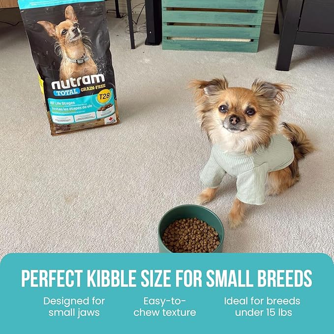 T28 Grain-Free Dog Food for Small & Toy Breeds – High Protein Trout & Salmon Meal Kibble | Chicken-Free, Limited Ingredient, Fish Dry Dog Food for Small Dogs & Puppies (4.4 Pounds)