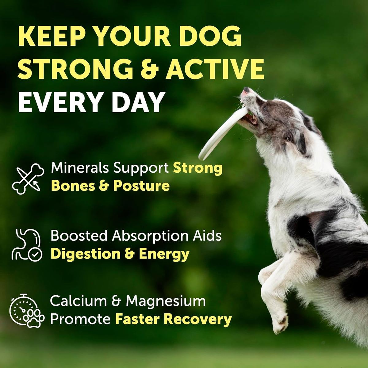 Nature's Protection Dog Joint Supplement - Mineral Powder Supplement for Pet Muscle Recovery, Stronger Bones, Immune & Gut Health for Dogs & Cats of All Breeds, 9 Oz