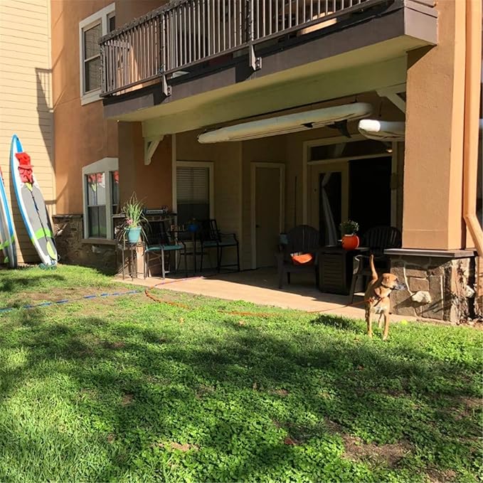 Dog/Puppy Obedience Recall Training Agility Lead - 15ft 20ft 30ft 40ft 50ft Training Leash - Great for Play, Camping, or Backyard (Mint Blue, 40 Feet)