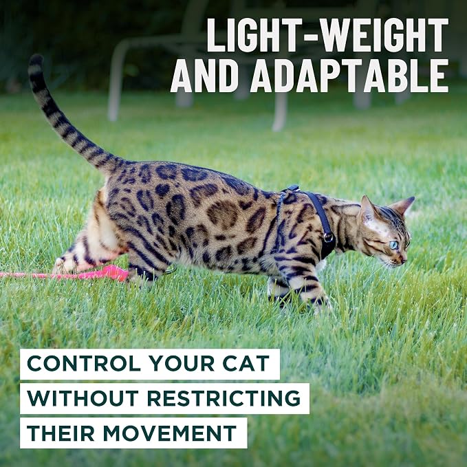 Houdini™ Escape Proof Cat Harness and Leash (Multicolor, M/L) | Adjustable walking vest with 6ft lead, premium padded finish, snug secure fit, lightweight for travel and outdoor adventures