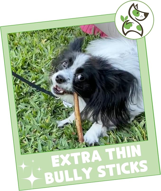 Nature Gnaws Extra Thin Bully Sticks for Small Dogs 5-6" (25 Count) - Long Lasting for Light Chewers and Puppies - Natural Beef Dog Chew Bones