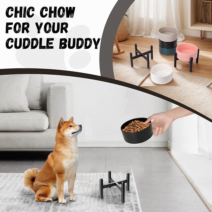 Raised Ceramic Dog Bowl Set with Stand, 2 Cups Elevated Dog Food Stand | 6.1'' Single Dog Food or Water Bowl Set, Non-Slip Dog Feeding Dishes for Small to Medium Breeds, 28.75 OZ, Black