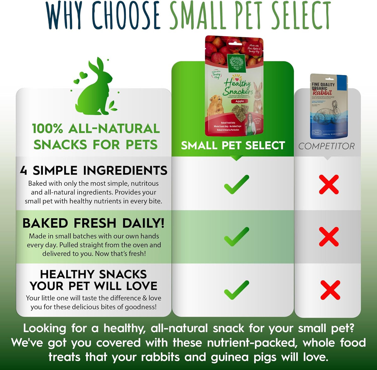 Small Pet Select - Healthy Snackers - Apple
