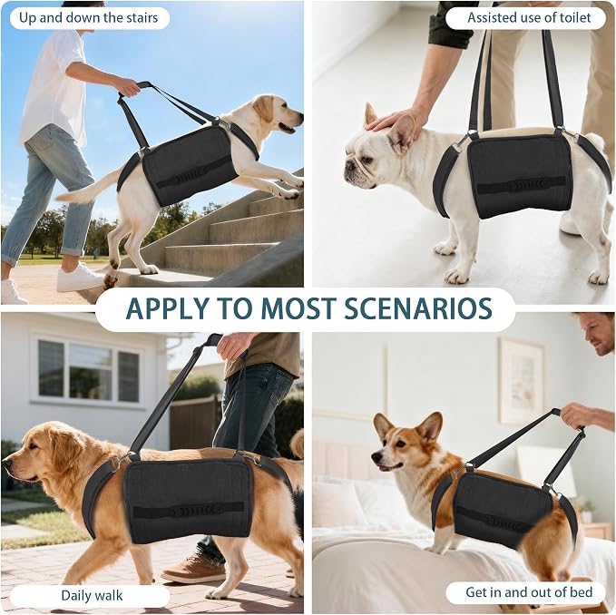 Adjustable Dog Lift Harness, Dog Carry Sling Provides Rear Leg Support for Senior Dogs, Arthritis and After ACL Surgery Dogs,Suitable for Medium to Large Dogs,Black XL