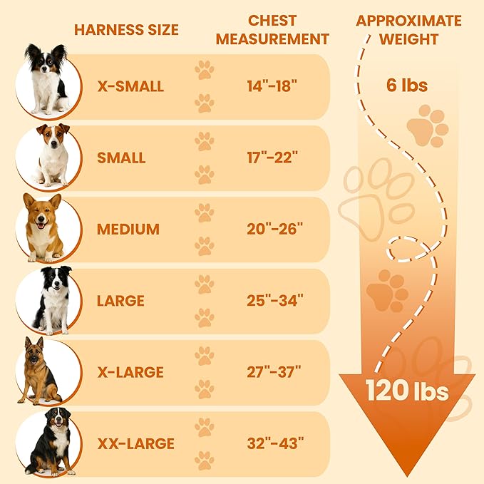 Bark Appeal Blue No-Pull Dog Harness for XS to Small Sized Pets – Adjustable, Reflective Vest with 3 Leash Clips for Added Control, Easy Walks & Training – Small