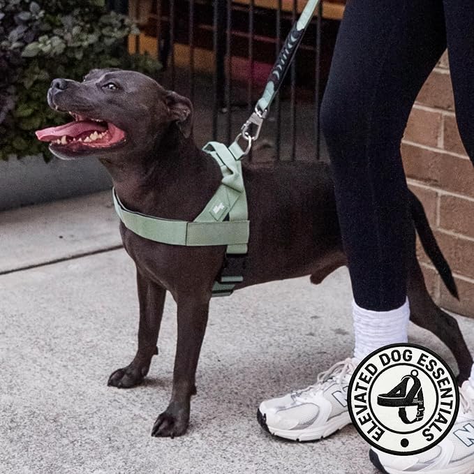 Dog Friendly Co. Dog Harness for Large Breeds (Khaki, Extra Large) | One Click Buckle, Chafe Resistant Webbing, Adjustable Neck & Chest, and Heavy Duty D-Ring, Sturdy Comfortable and Easy to Use