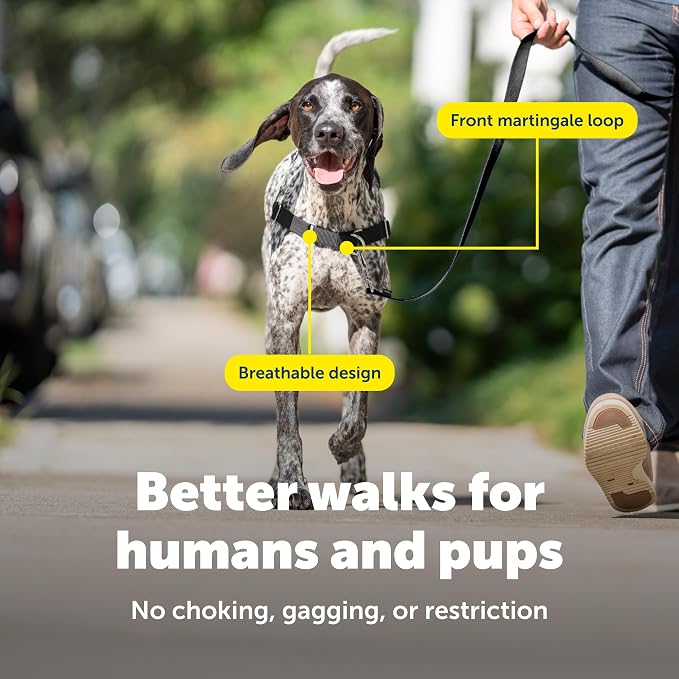 PetSafe Easy Walk Harness, No Pull Dog Harness, Apple Green, Medium/Large | Patented Martingale Loop Gives Gradual Shoulder Pressure to Stop Pulling, Front-Chest Leash Clip Prevents Gagging