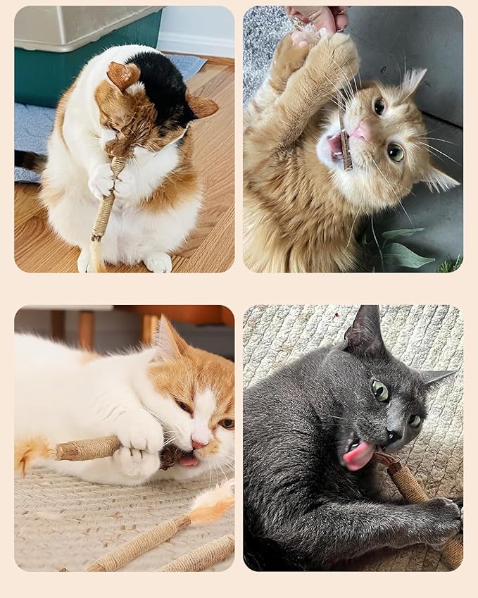 Tocirelo Cat Toys Silvervine Sticks - 10Pack Natural Catnip Toys for Indoor Cats, Catmint Silvervine Blend Kitten Chew Sticks, Matatabi Cat Dental Care Treats for Teeth Cleaning, Kitten Teething Toy