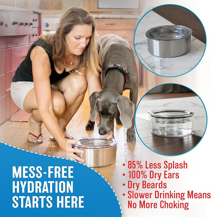 Tritan Plastic Dripless Water Bowl with Lid – Holds 1 Gal, Reduces Spills and Trails Up to 85%+, Water Bowl for Multiple Small Breed Dogs (0-20 lbs), The Original Slobber Stopper