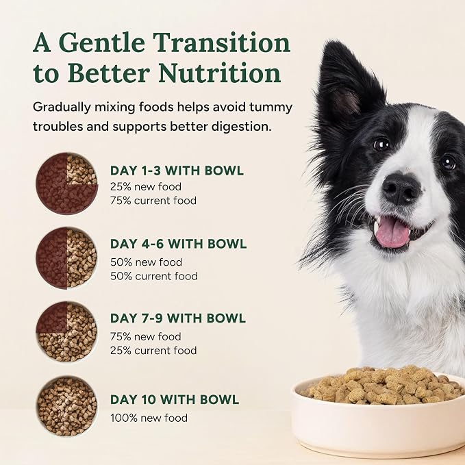 360 Pet Nutrition Freeze-Dried Raw Dog Food – Chicken Recipe with Liver & Organs, High Protein, Omega-3s, Fruits, Veggies & Superfoods, Grain-Free, No Fillers 2 x 48 oz Made in USA