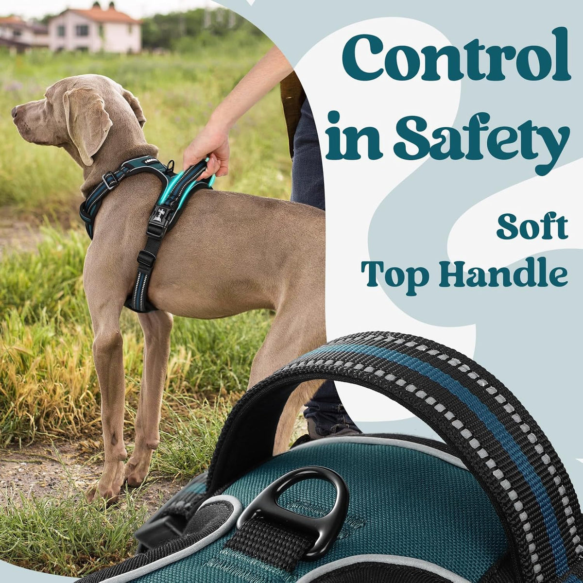 rabbitgoo Dog Harness for Large, No Pull Pet Harness with 3 Buckles, Adjustable Soft Padded Vest with Control Handle, Walking Reflective Pet Vest for Large Dogs, Blue Coral, L