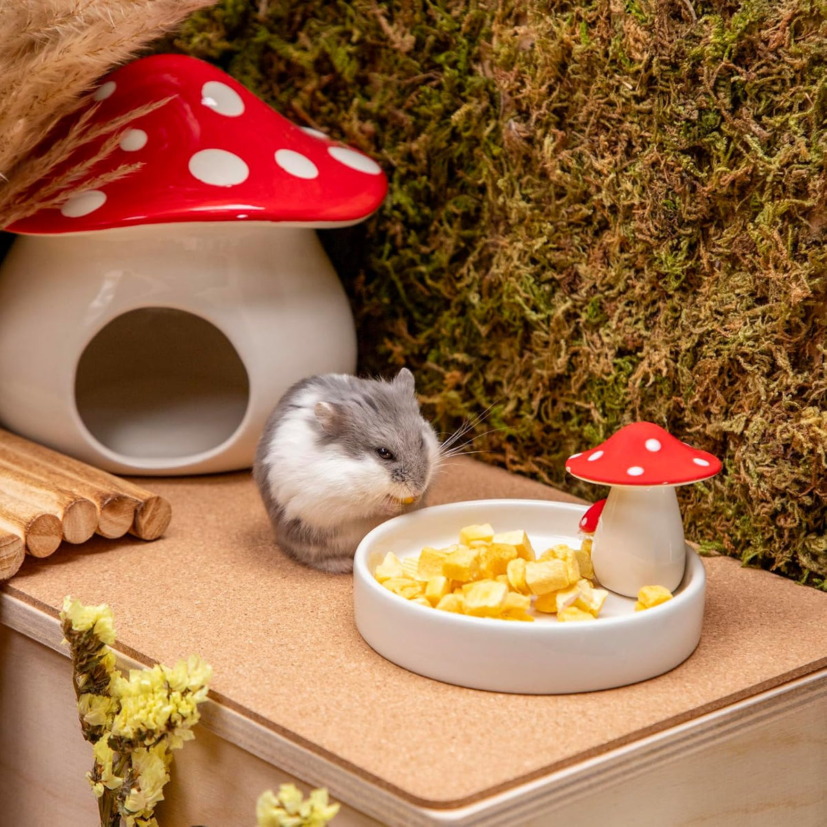 Niteangel Hamster Snack & Treats Toy - Small Animal Natural Treat for Dwarf Syrian Robo Hamsters Gerbils Mice Lemmings Degus or Other Small-Sized Pets