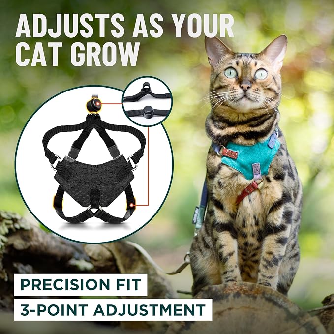 Houdini™ Escape Proof Kitten Harness + Leash (Multicolor, S) | Adjustable walking vest with 6ft lead, breathable mesh, snug secure fit, light and gentle for first outdoor adventures