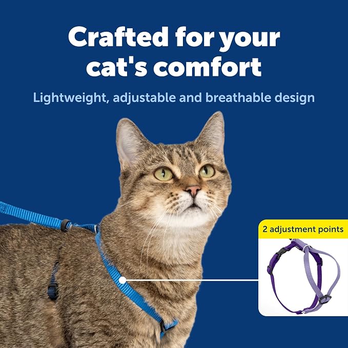 PetSafe Come with Me Kitty Harness and Bungee Cat Leash, Royal Blue, Small | Adjustable 2-Point Fit Applies Gentle Pressure to Shoulders, Not Neck, for Kittens and Small Cats with 9 in - 11 in Girth