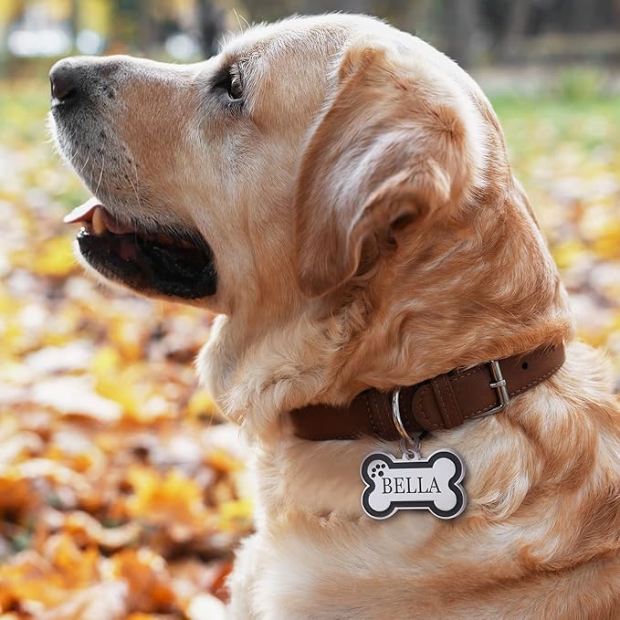 Personalized Stainless Steel Pet ID Tags with Glittery Bone Design - DEEP Engraved Dog Tags Engraved for Pets Customized with 5 Lines Dogs and Cats Pets