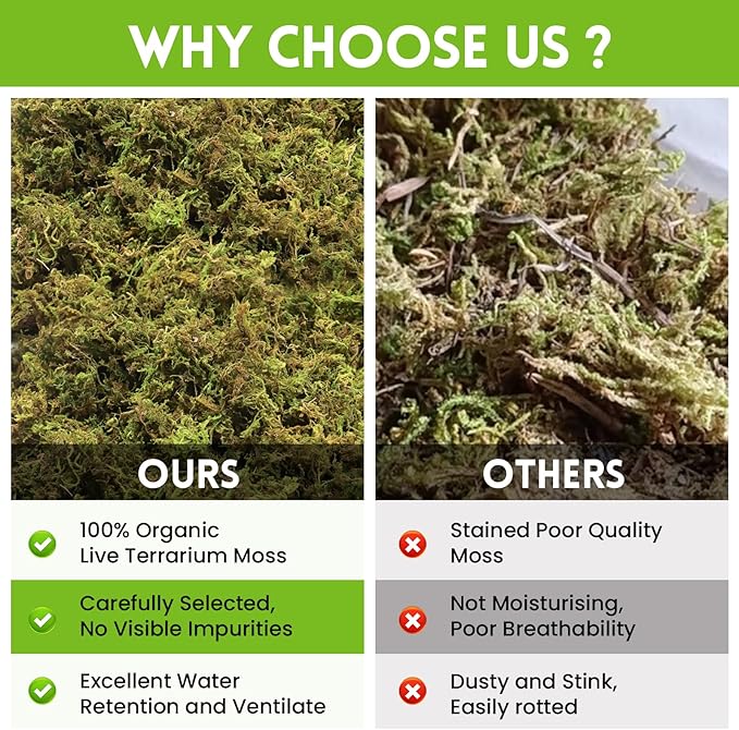 Riare 3.5 OZ Premium Sphagnum Moss for Reptiles- 4QT Natural Live Moss Reptile Moss Bedding for Terrarium, Hatching, Forest Sphagnum Moss Reptile Substrate for Snakes, Gecko, Turtles, Frogs, Leopard