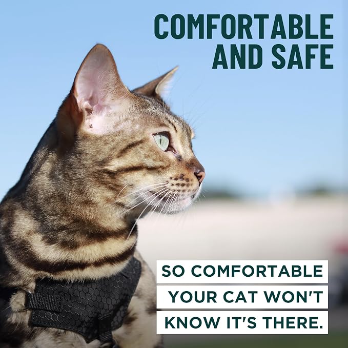 Houdini™ Escape Proof Cat Harness and Leash (Multicolor, M/L) | Adjustable walking vest with 6ft lead, premium padded finish, snug secure fit, lightweight for travel and outdoor adventures