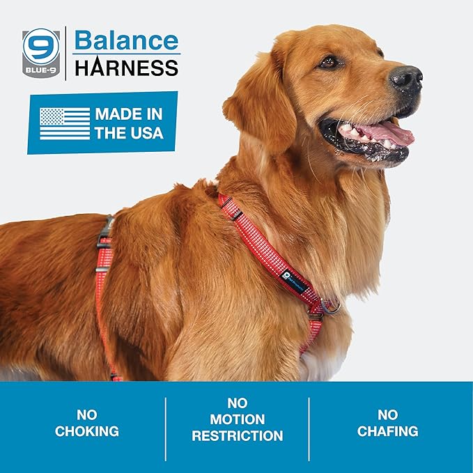 Blue-9 Reflective Buckle-Neck Balance Harness, Fully Customizable Fit No-Pull Harness with 3M Reflective Stitching, Ideal for Dog Training and Obedience, Made in The USA, Red, XS