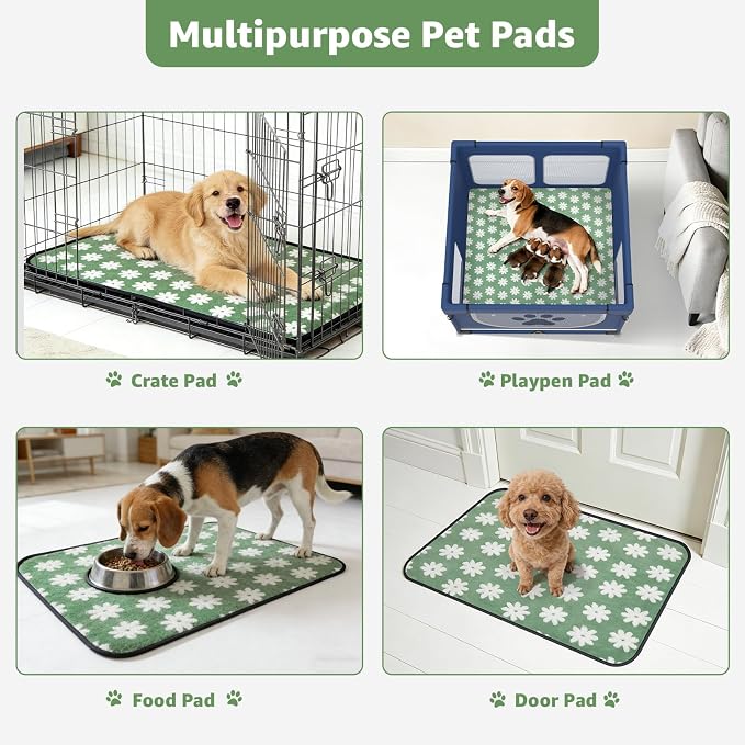 LOOBANI Extra Large Washable Puppy Pads for Incontinence 72"x72",1 Pack | Soft Reusable Dog Playpen Mat, Fast Absorbent, Non Slip, Waterproof And Leakproof For Floor, Crate, Potty Training