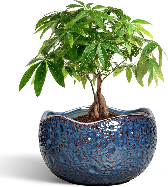 10 Inch Plant Pot - Ceramic Planter for Indoor Outdoor, Round Bonsai Pots, Decorative Flower Pots with Drainage Hole, Modern Unique Planters, House Decor, Home Gifts, Retro Blue