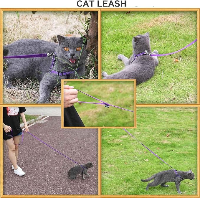 AMAGOOD 6 FT Cat Leashes, Strong Traditional Style Leash with Easy to Use Collar Hook,Cat Lead Great for Cats (3/8 in x 6 ft(Pack of 1), Purple)