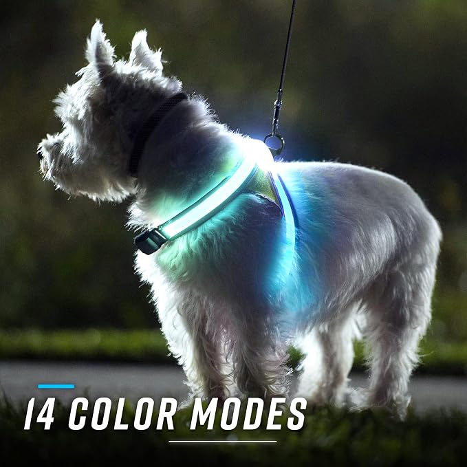 noxgear LightHound Light Up Reflective Dog Harness and Leash, Medium | 360° Light Up Reflective Dog Harness, 8 Colors & 6 Modes, USB Rechargeable, Adjustable, Rainproof, LED Fiber Optic
