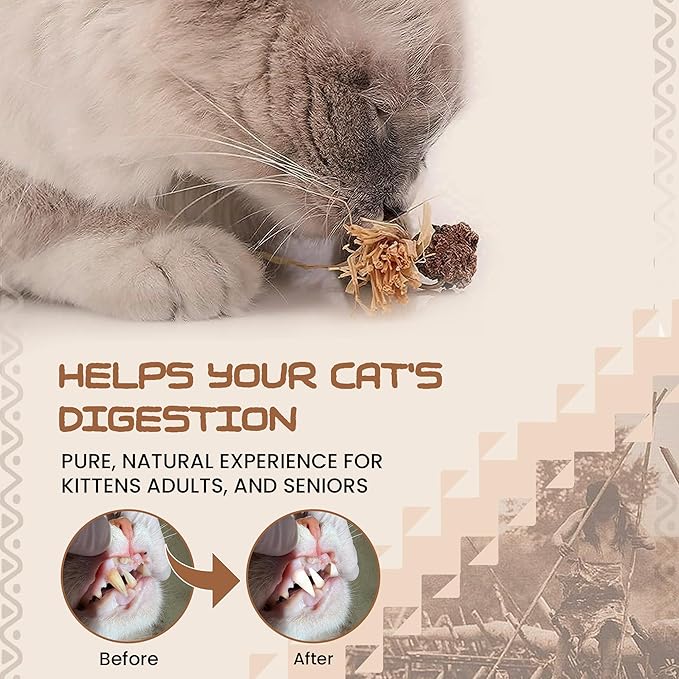 HUPA Catnip Silvervine Sticks | Anxiety Relief & Kitten Teeth Cleaning, Natural Silvervine with Raffia Grass for Healthy Teeth & Digestion | for Indoor Cats, All Ages & Breeds | 2 Sticks