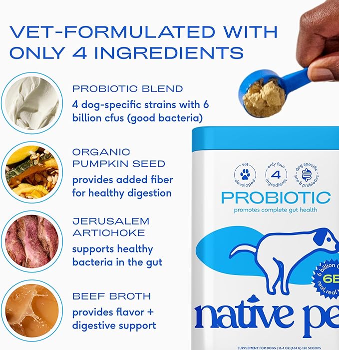 Native Pet Probiotics for Dogs - Dog Probiotics Powder for Digestive Health, Gut Support, & Immune Boost – Vet-Formulated Powder for Maximum Potency with Digestive Enzymes & Prebiotics - 60 Scoops
