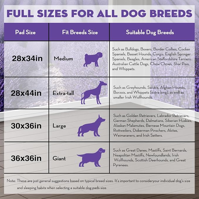CROCI XXL Puppy Pads with Adhesive Tabs Lavender Scented 36x36in 30Ct | Super Absorbent Dog Pads Holds Up to 11 Cups of Urine, 6-Layers, Quick-Dry Surface, Leak-Proof, Disposable