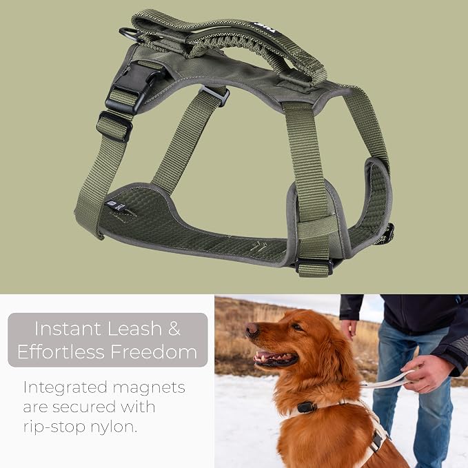 TUG Grab Dog Harness with Built-in Magnetic Traffic Leash (Small/Green) | Padded Magnetic Traffic Handle | Dual Leash Clips | 4-Point Adjustable Fit | Durable Nylon