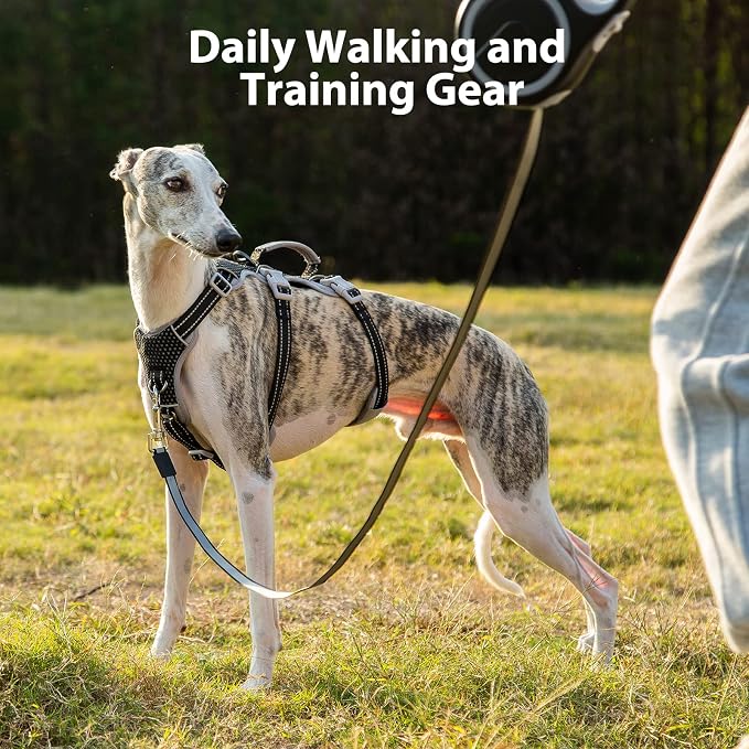 Escape Proof Harness, No Slip Dog Harness Escape Proof, Fully Reflective Harness with Handle, Breathable, Durable, Adjustable Vest for Medium Dogs Walking and Training Gear (Black, M)