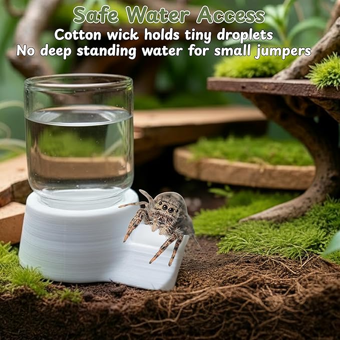 Jumping Spider Water Enclosure Accessories Kit, 3pcs Mini Water Dispenser with 30 Replace Cotton Cores Mist Bottle, Jumping Spider Habitat Decoration, Tarantula Enclosure Accessories (White, 3 PCS)