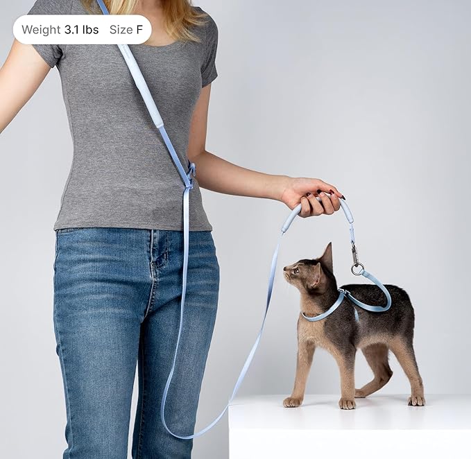 Cat Harness and Leash Set, Escape Proof Cat Harness Lightweight Leash with Padded Handle Adjustable Leash Harness for Kitten>4lbs Small Large Cats Walking Training (Midnight Black, M)