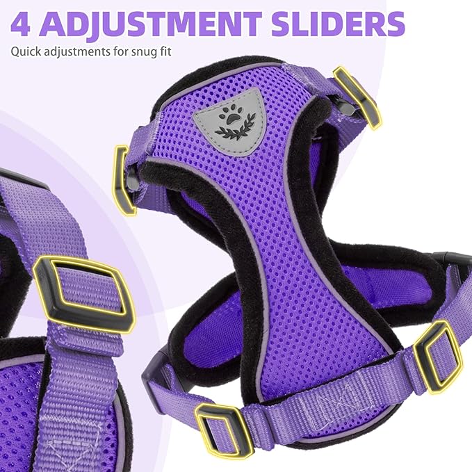 PUPTECK Cat Harness and Leash Set Escape Proof Reflective Cat Walking Harness Adjustable Soft Breathable Mesh Vest for Small Pets, Purple, M