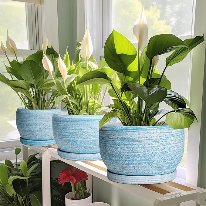 SQOWL Ceramic Planters for Indoor Plants - 6 Inch Plant Pot Indoor Outdoor, Decorative Flower Pot with Drainage Hole and Saucer, Round Succulent Planter, Home Apartment Decor, Garden Gifts, Blue