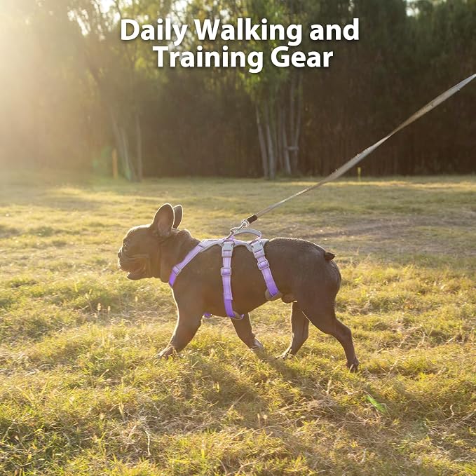 Escape Proof Dog Harness, Secure Dog Harness No Escape,Fully Reflective Harness with Handle,Breathable,Durable,Adjustable Vest for Small Dogs Walking,Training & Running Gear(Lavender Purple,S)