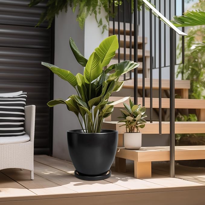 Ceramic Planter - 10 Inch Plant Pot with Drainage Hole and Tray, Round Flower Pots, Planters for Indoor Plants, Modern Room Garden Patio Bathroom Living Room Porch Home Decor, Black