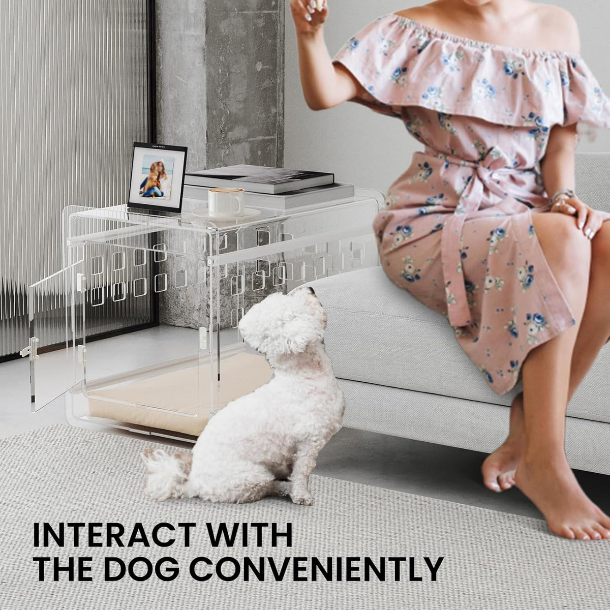 Sumerflos Clear Acrylic Dog Crate - Modern Dog Kennel Furniture, Indoor End Table Dog Crate Lockable Ventilated for Most Small Dog Cat Pet, 24.05" L x 17.99" W x 20" H