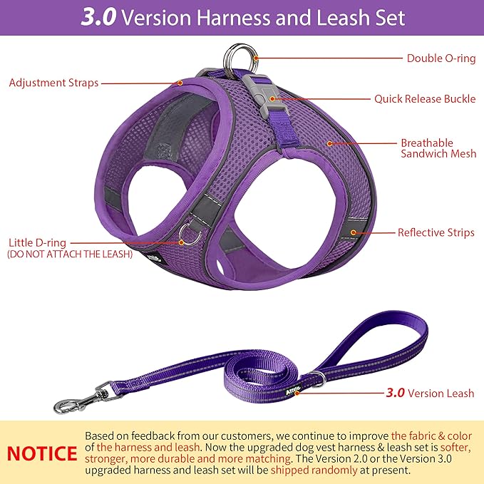AIITLE Easy Walk Dog Harness and Leash Set - Pet Supply No Pull, Step in Adjustable Pet Harnesses with Padded Vest for Summer, No Choke Over, Easy to Put on Medium Dogs Pure Purple L
