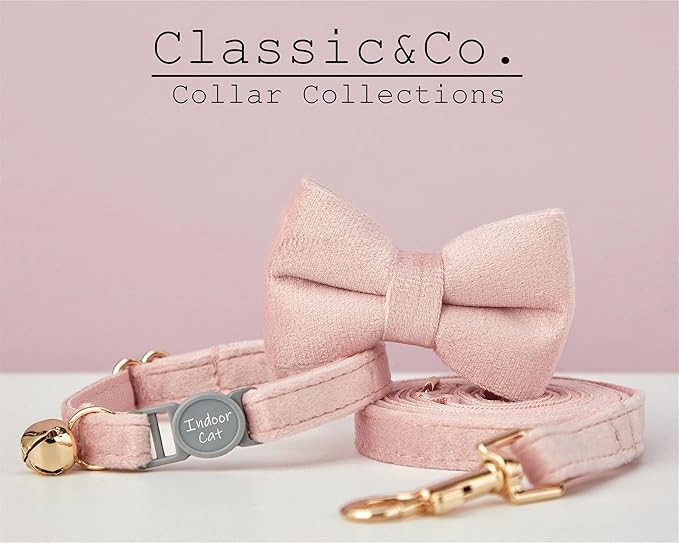 Personalized Breakaway Cat Collar with Safety Buckle - Customizable Name and Phone Number